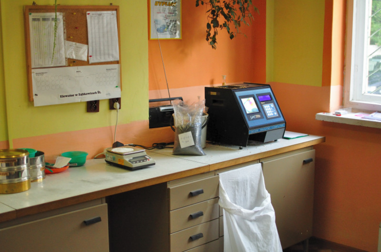 Test jakości pszenicy