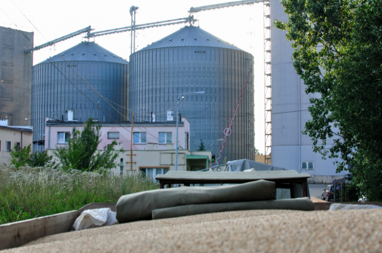Kolejka do skupu w Ząbkowicach Śląskich