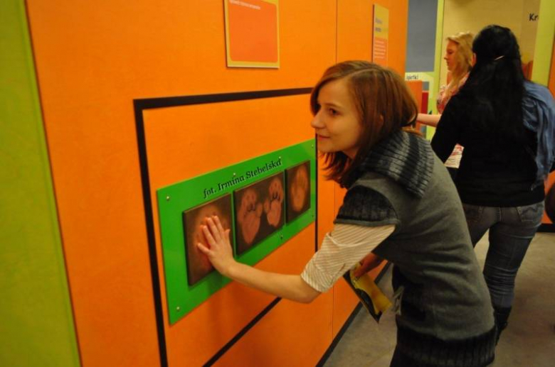 XIX regionalna sesja EYP