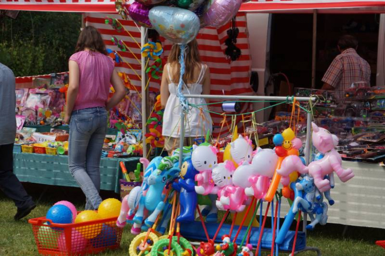 XIV Festyn Gminny - Dni Malczyc