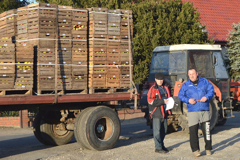 Jabłka dla mieszkańców Szczepanowa