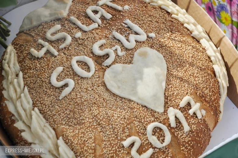 Uroczystości nadania imienia SOSw w Środzie Śląskiej