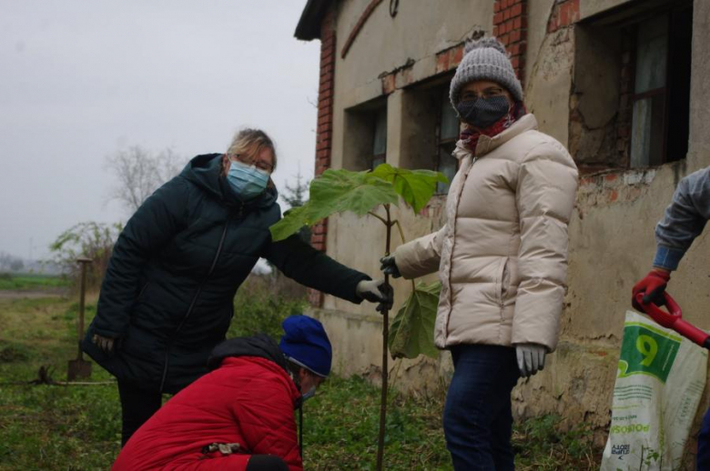 Członkowie stowarzyszenia "Nasz Mieczków" nasadzili drzewa tlenowe