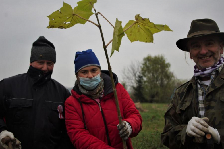 Członkowie stowarzyszenia "Nasz Mieczków" nasadzili drzewa tlenowe