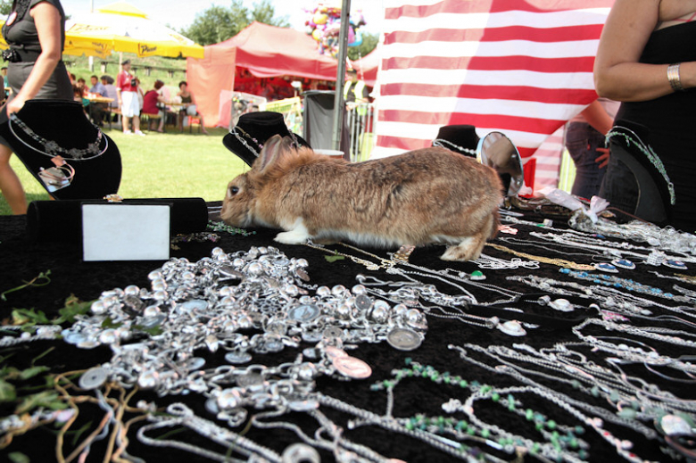 Dożynki Wojewódzkie okiem Mariusza Chmielowca