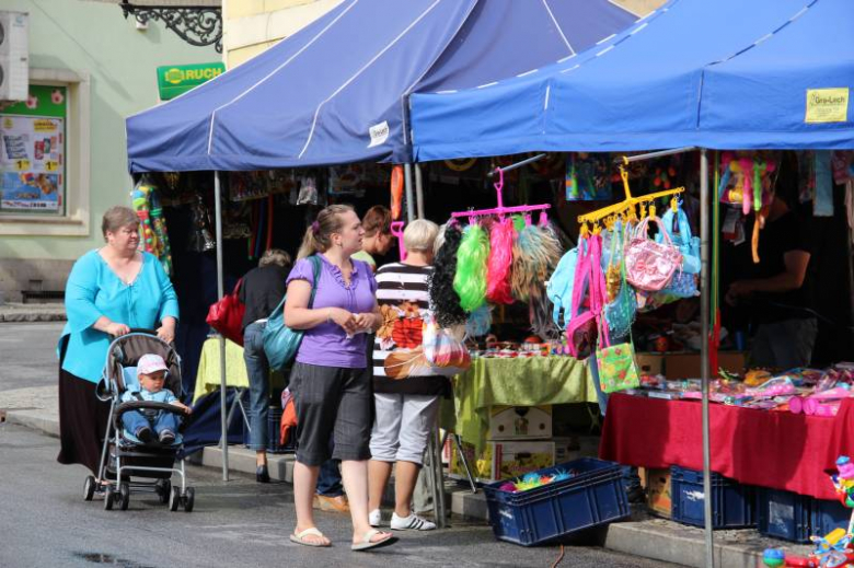 Drugi dzień obchodów Dni Środy Śląsksiej