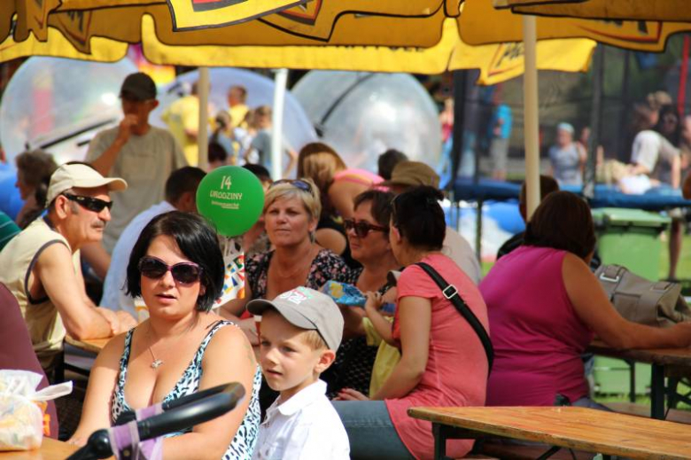 XIV Festyn Gminny - Dni Malczyc