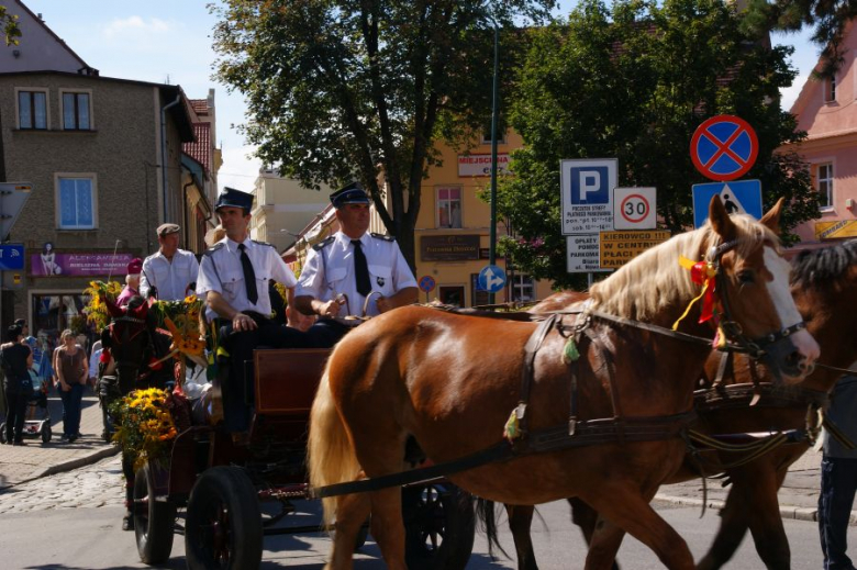 eMKa/Express-Miejski.pl