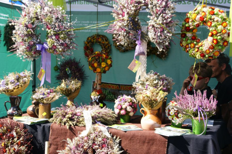 eMKa/Express-Miejski.pl