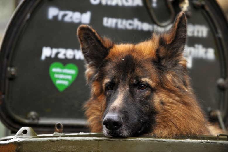 WOŚP na wrocławskim Rynku