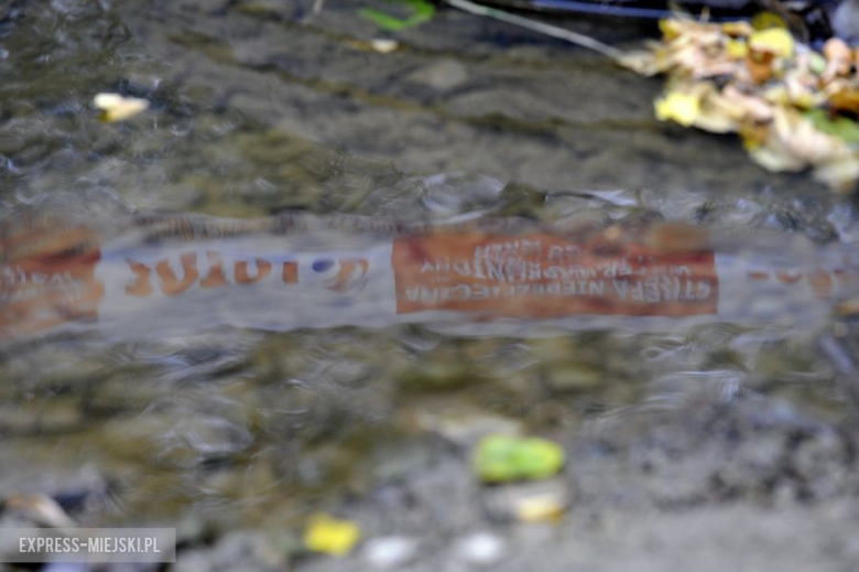 Rajd Rzeszowski 2013 - dzień drugi
