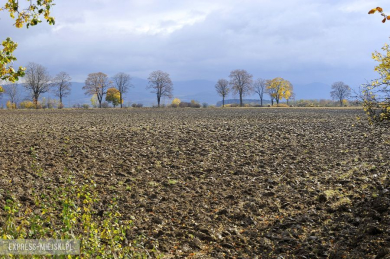 7 runda Rajdowych Samochodowych Mistrzostw Polski