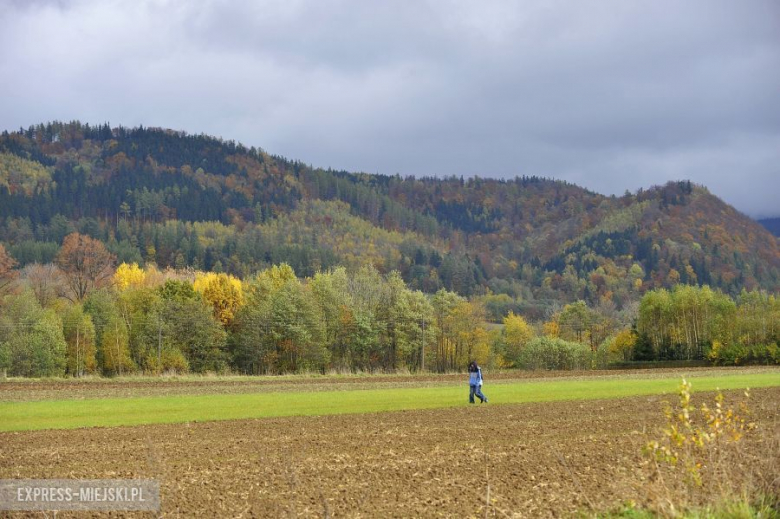 7 runda Rajdowych Samochodowych Mistrzostw Polski