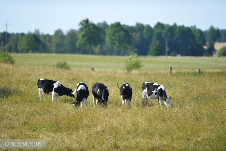 LOTOS 71 Rajd Polski