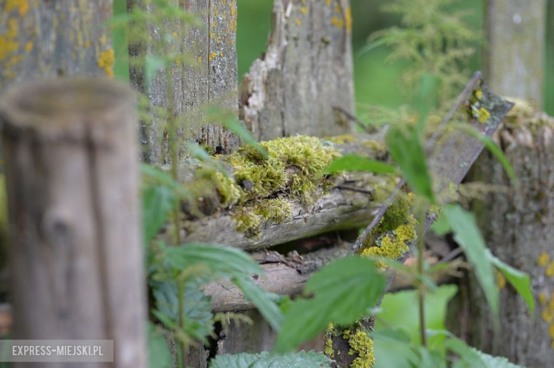 LOTOS 71 Rajd Polski