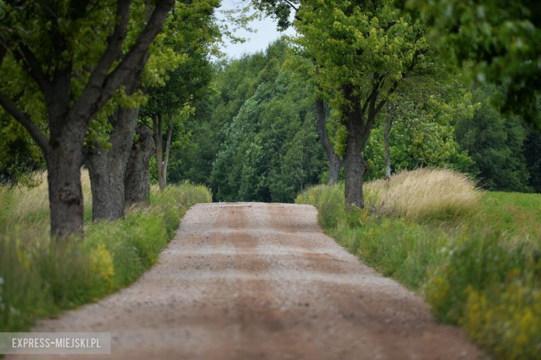 LOTOS 71 Rajd Polski