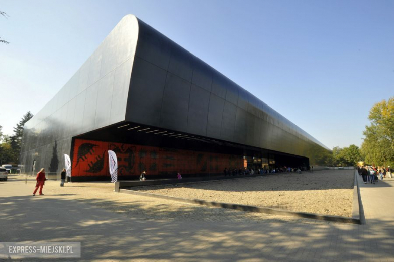 Wrocławianie testowali Afrykarium