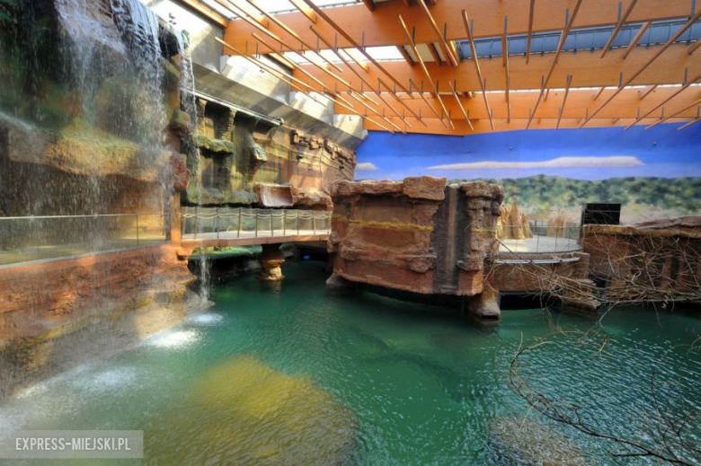 Wrocławianie testowali Afrykarium