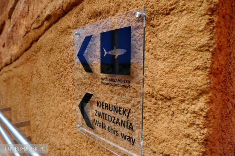 Wrocławianie testowali Afrykarium