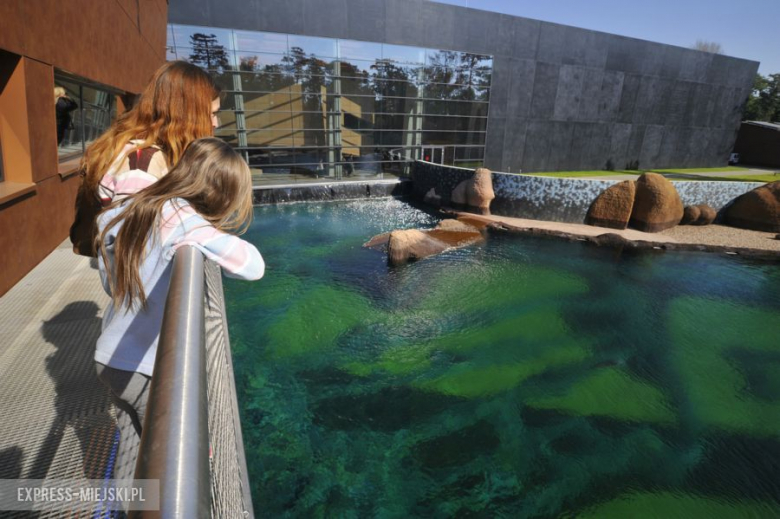 Wrocławianie testowali Afrykarium