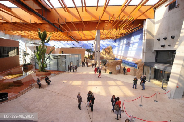 Wrocławianie testowali Afrykarium