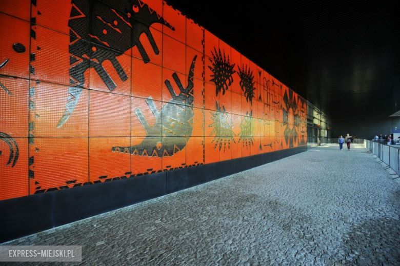 Wrocławianie testowali Afrykarium