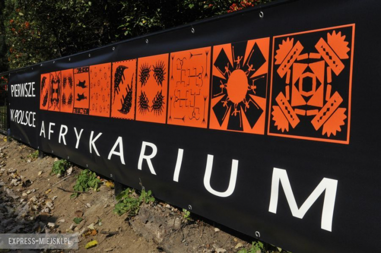 Wrocławianie testowali Afrykarium