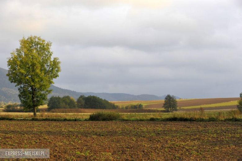 Rajd Dolnośląski 2014 - Oesy