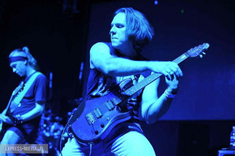 wROCK for Freedom – Sheep