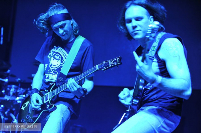 wROCK for Freedom – Sheep