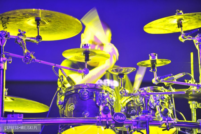 wROCK for Freedom – Sheep