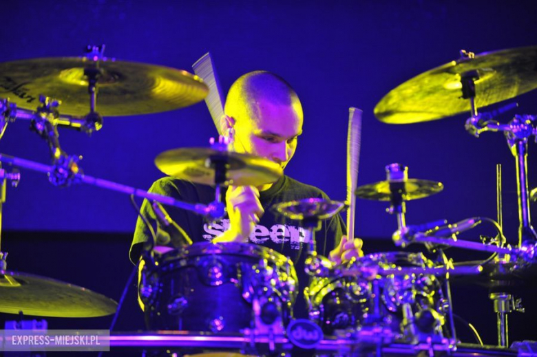 wROCK for Freedom – Sheep