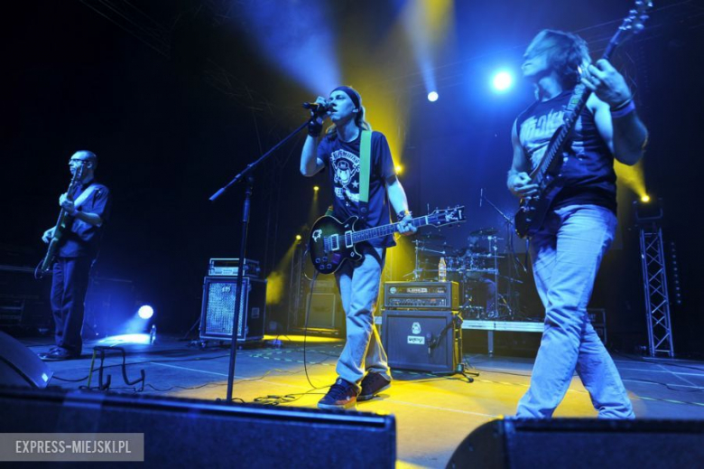 wROCK for Freedom – Sheep