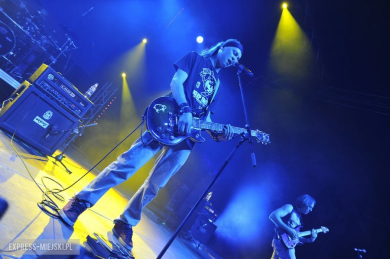 wROCK for Freedom – Sheep