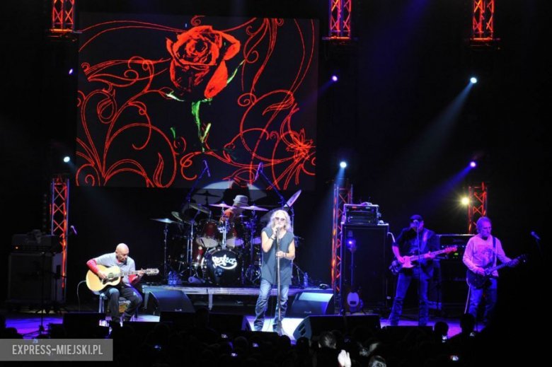 wROCK for Freedom – Perfect