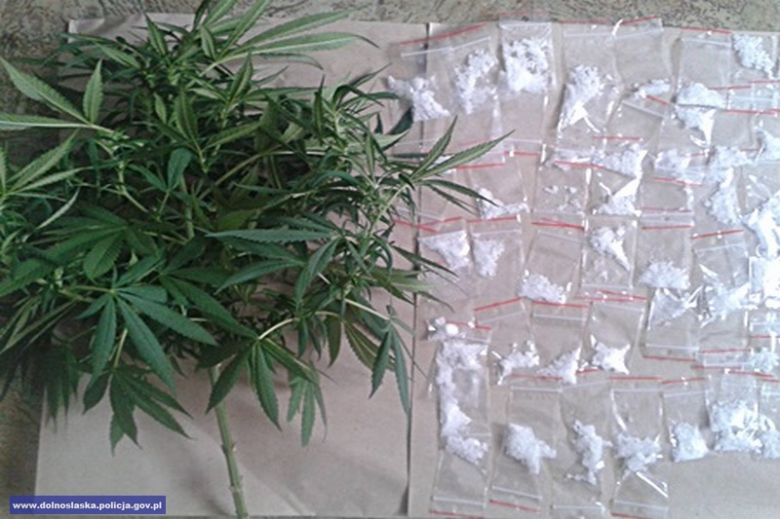 Skonfiskowane środki odurzające