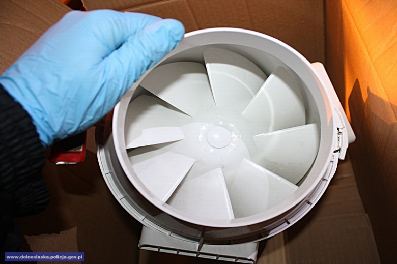 Mężczyzna, do którego należała uprawa trafił już za kratki. Zastosowano wobec niego tymczasowy areszt