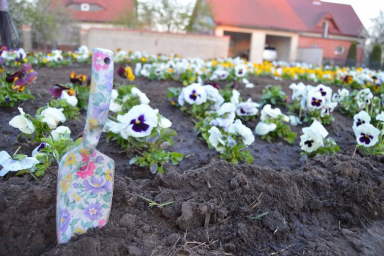 Sadzenie kwiatów