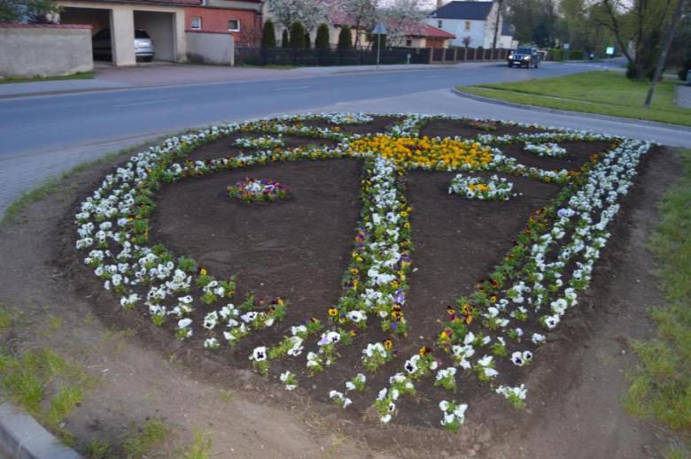 Sadzenie kwiatów