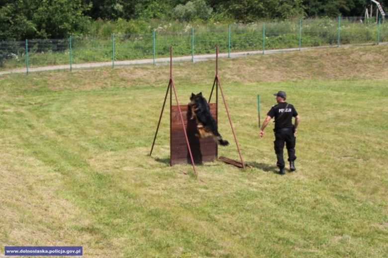 Wojewódzkie eliminacje