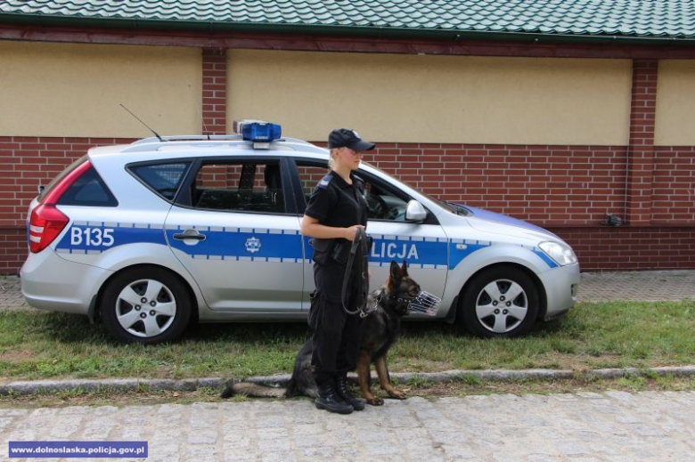 Wojewódzkie eliminacje