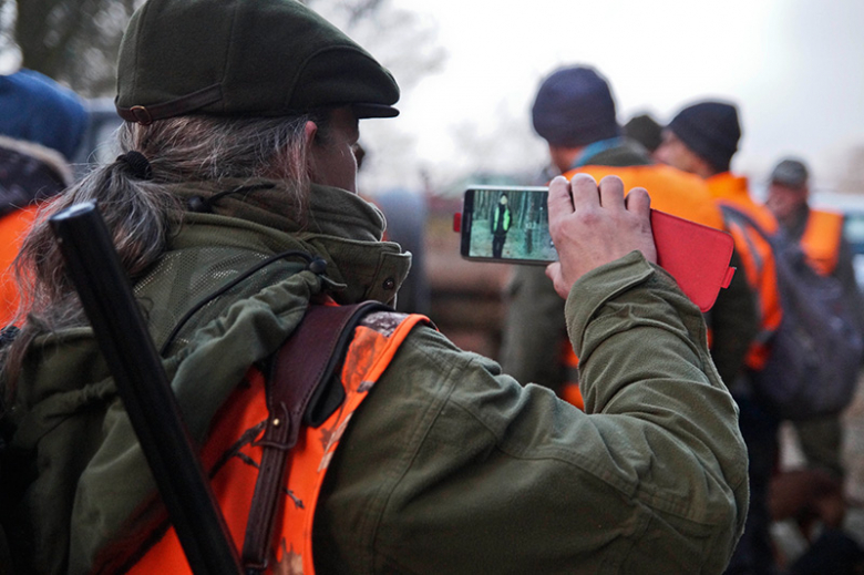 Odstrzał dzików zablokowany