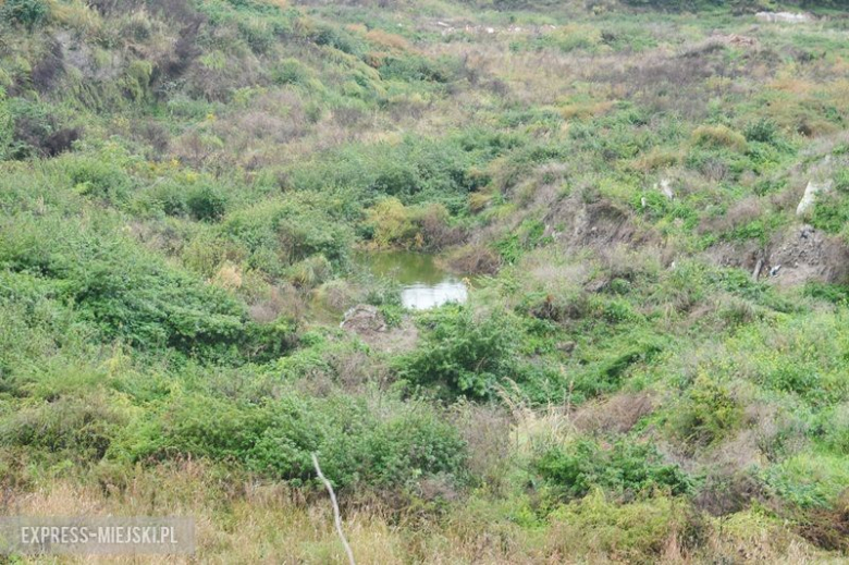 Dzikie wysypisko śmieci w Malczycach