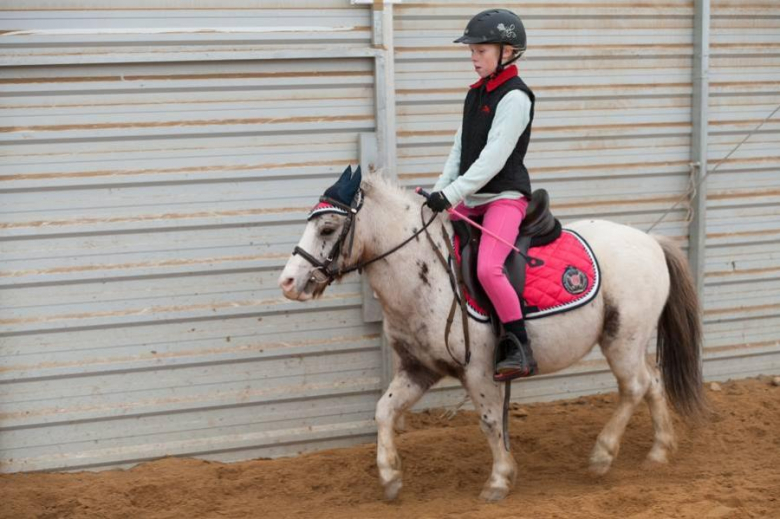 Zawody jeździeckie w Gałowie