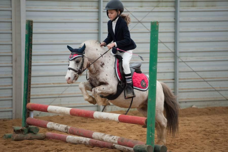 Zawody jeździeckie w Gałowie