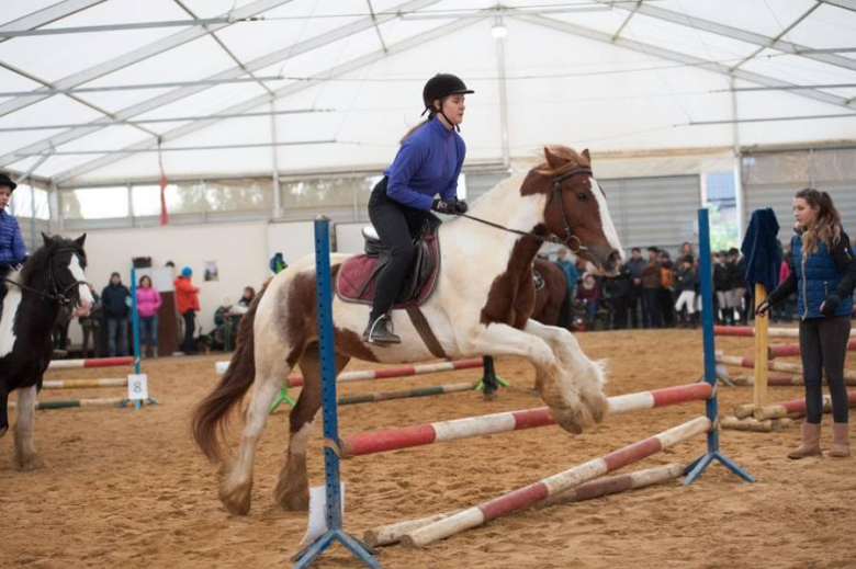 Zawody jeździeckie w Gałowie