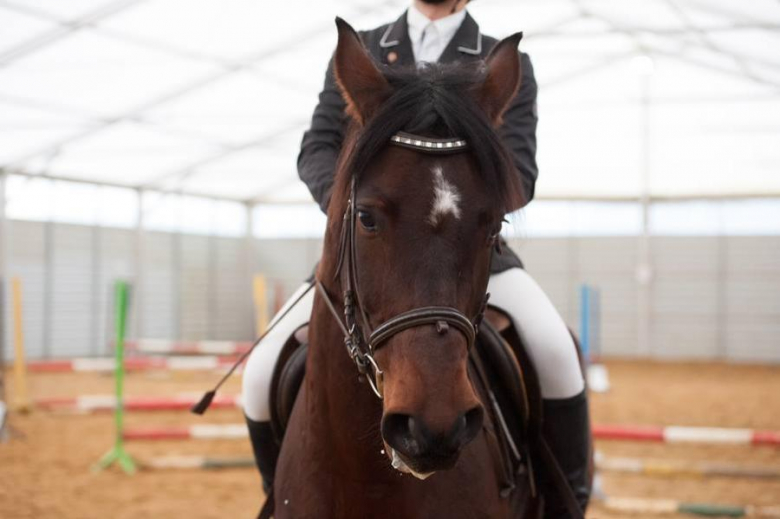 Zawody jeździeckie w Gałowie