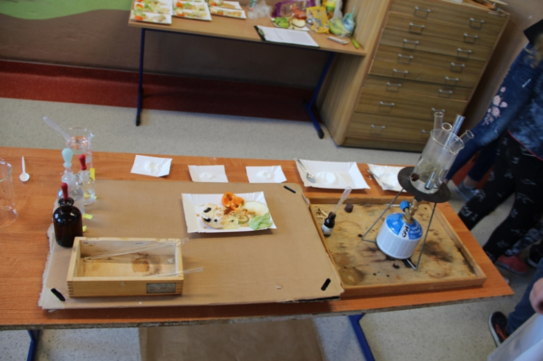 Festiwal nauki w Kostomłotach