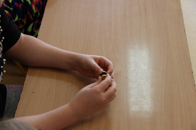 Festiwal nauki w Kostomłotach