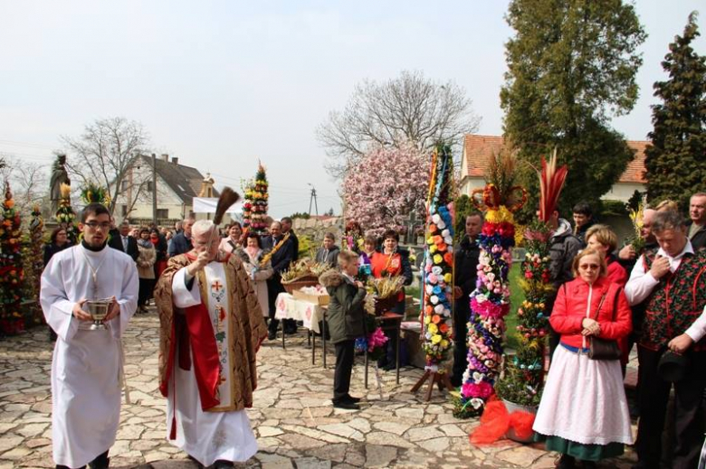 Niedziela Palmowa w Piotrowicach